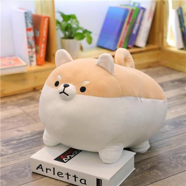 Shiba cheap plush miniso